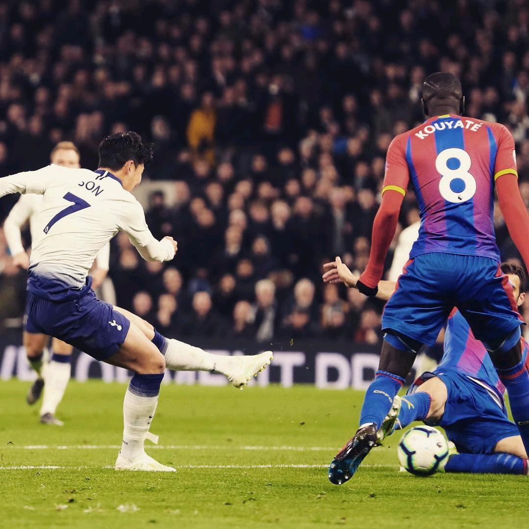 为光明的未 为光明的未